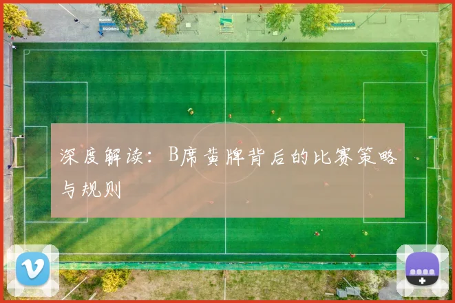深度解读：B席黄牌背后的比赛策略与规则